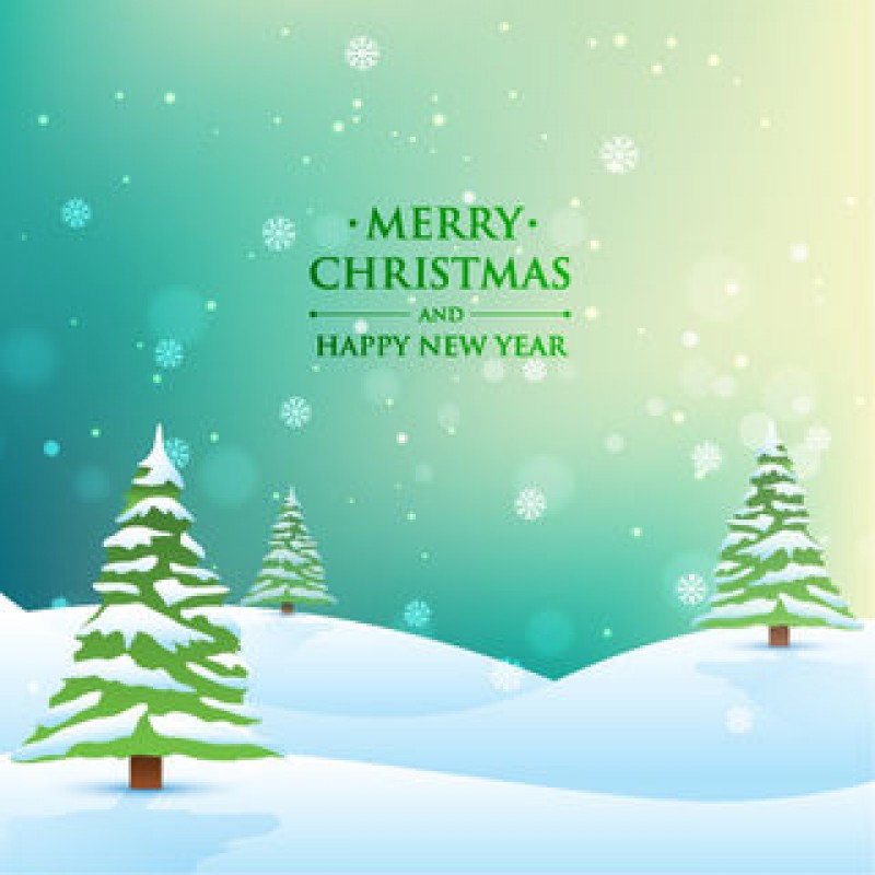 2026 Christmas Greeting Cards