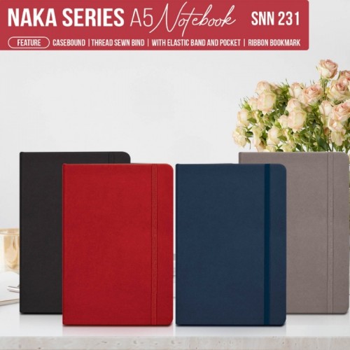 Diary - SNN 231